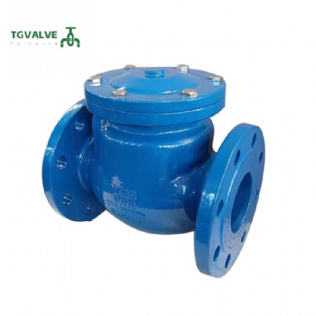 Flanged Type Water Check Valve Ductile Iron Swing Check Valve PN16