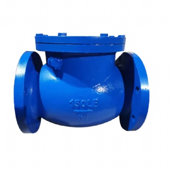 Flanged Type Water Check Valve Ductile Iron Swing Check Valve PN16