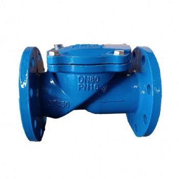 Rubber Disc Check Valve