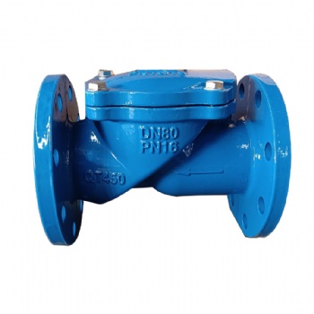 Rubber Disc Check Valve