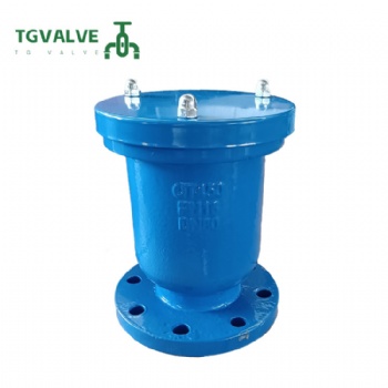 Flange exhaust valve