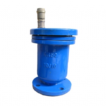 Flange exhaust valve